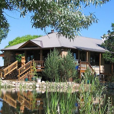 Mancos Starry Nights Ranch Bed & Breakfast מראה חיצוני תמונה