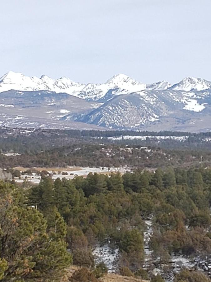 Mancos Starry Nights Ranch Bed & Breakfast מראה חיצוני תמונה