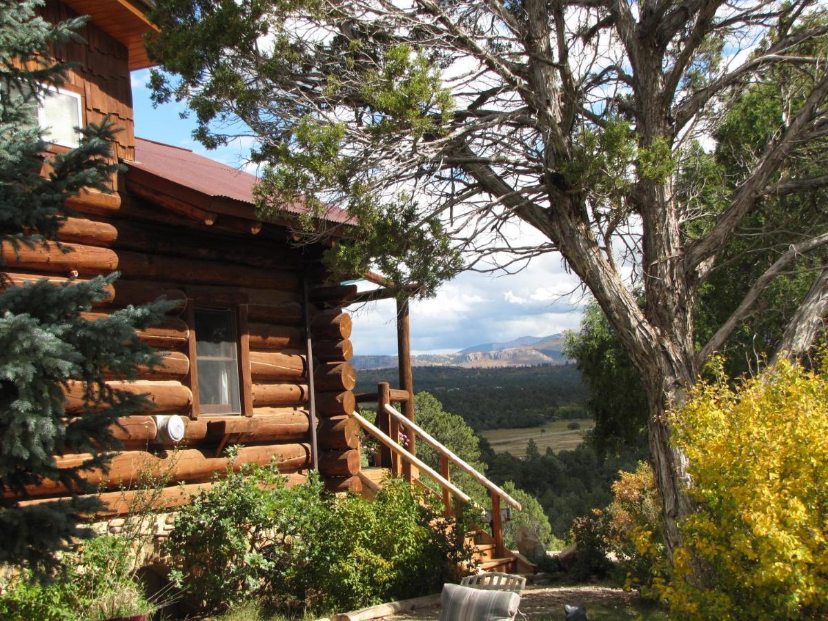 Mancos Starry Nights Ranch Bed & Breakfast מראה חיצוני תמונה