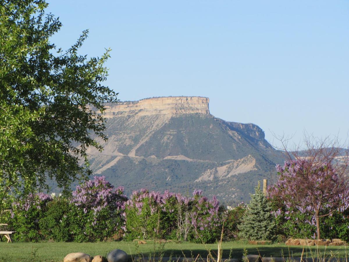 Mancos Starry Nights Ranch Bed & Breakfast מראה חיצוני תמונה